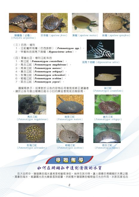 Aquarium information 059