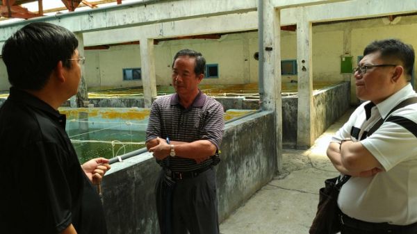 駐印尼代表處陳忠大使參訪峇里島全球最優台商觀賞魚養殖場，譽為新南向投資台商典範