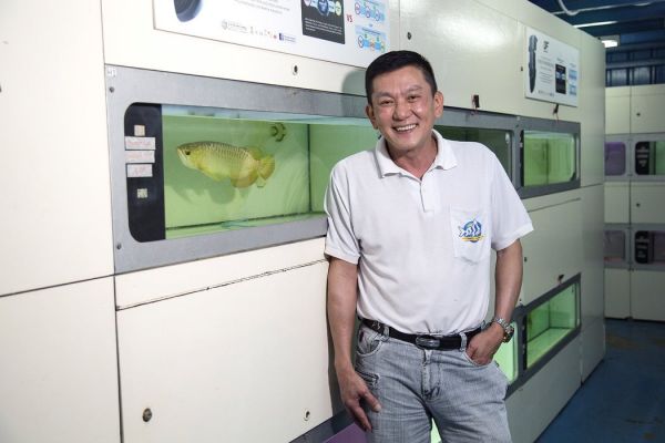 「瘋狂的亞洲富人」：為什麼要給一條魚做整形手術