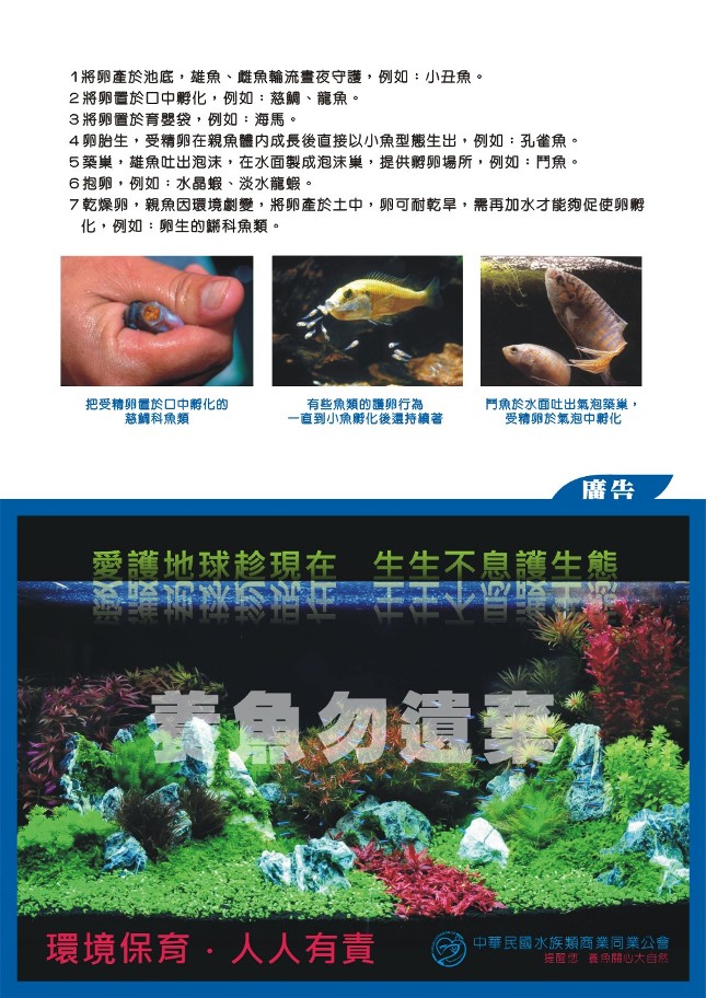 Aquarium Information 024