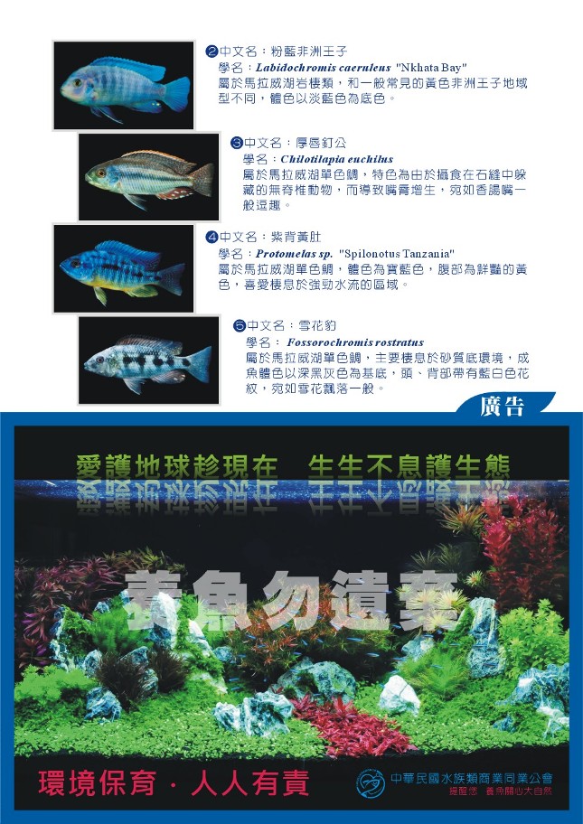 Aquarium Information 027