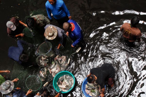 商場變魚池　可撈3000條魚?