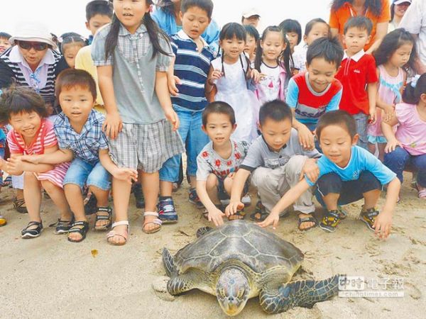 來看海龜下蛋 澎湖生態拚觀光