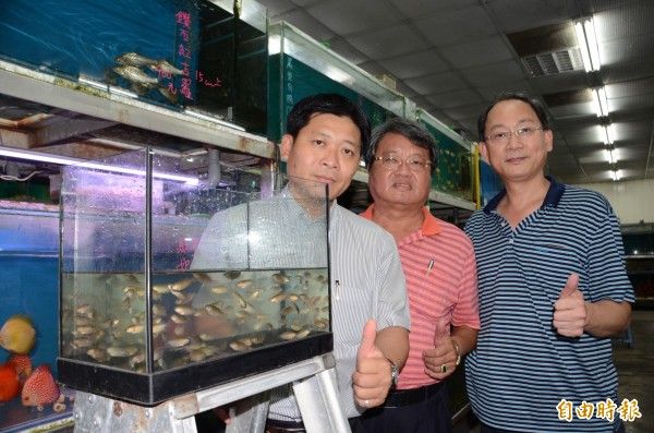 台南登革熱防疫 水族業者捐千隻鬥魚生物防治