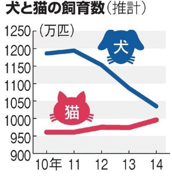 日本「狗派」人數年年降 「貓派」卻不斷上揚？