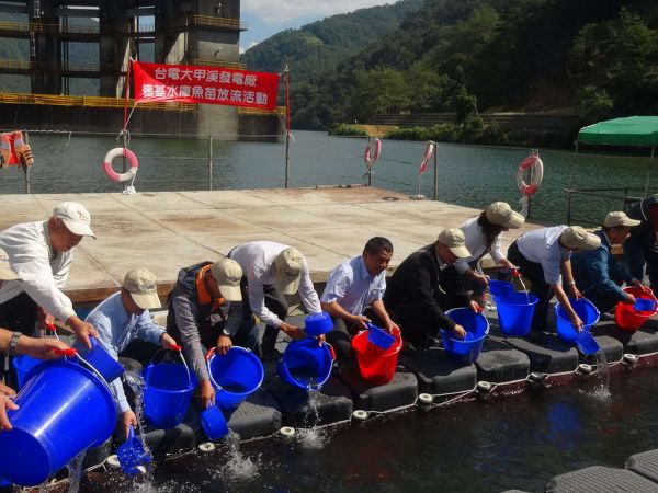 德基水庫魚苗放流　維護大甲溪生態