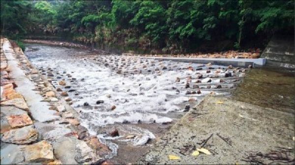 首座粗石斜曲面魚道 助魚兒回家