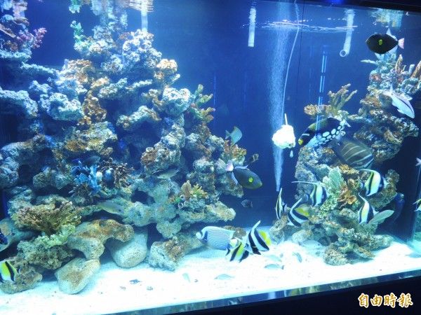 參觀農科園區亞太水族中心 明年起開始收費