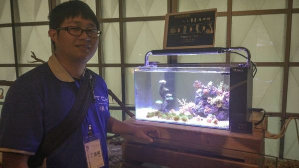 人工飼養軟珊瑚 成長速度從2年變3個月