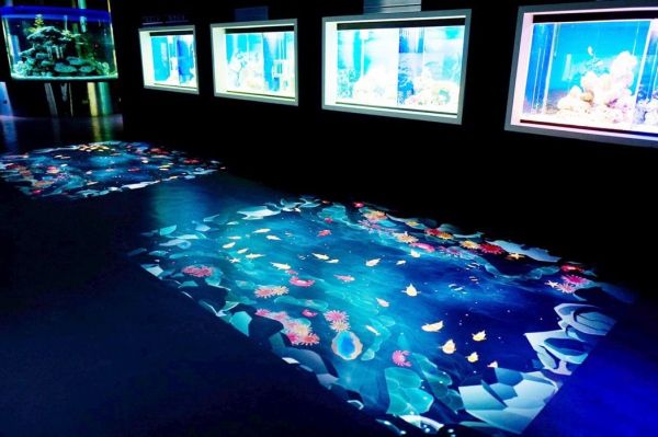 台東海洋夢想館 26日開館