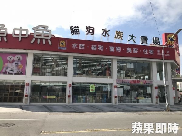 就是霸氣！　毛小孩專賣店超大間