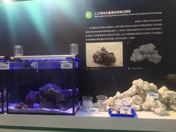 全球禁採活石水族產品價格日益高升 廢棄牡蠣殼搖身一變成活石特性水族新產品