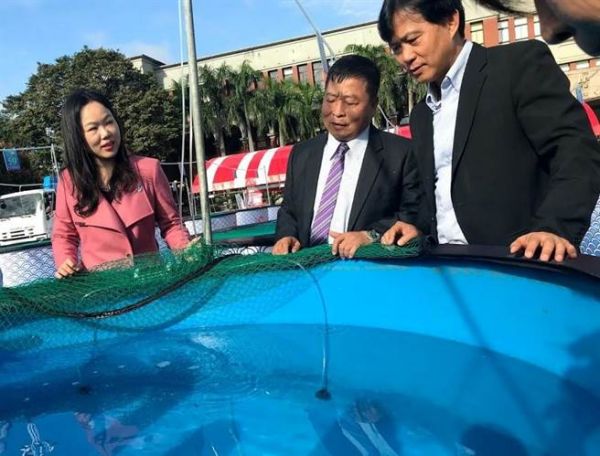 錦鯉女王鍾瑩瑩：觀賞魚產業歡迎新血投入