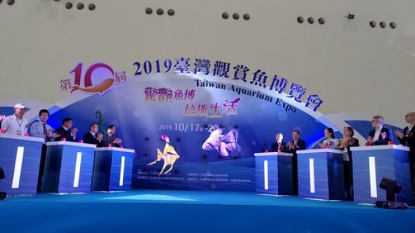 2019臺灣觀賞魚博覽會17日至20日在高雄展覽館南館亮麗登場