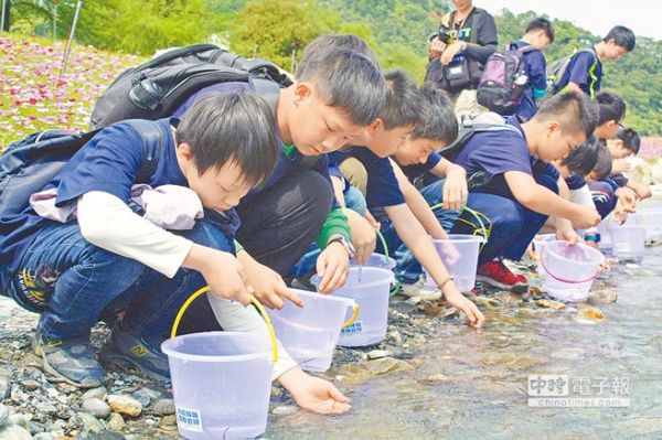 護魚生力軍 放流7000尾鰻苗