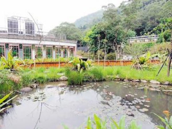 日本水族園為前鰭殘缺海龜成功安裝人造鰭