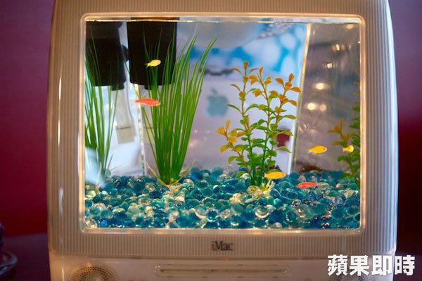 我用iMac養魚！