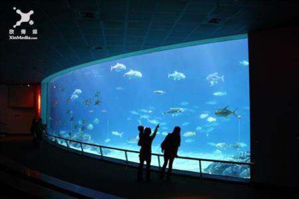 來住海生館、史前館 鯊魚長毛象伴你入眠