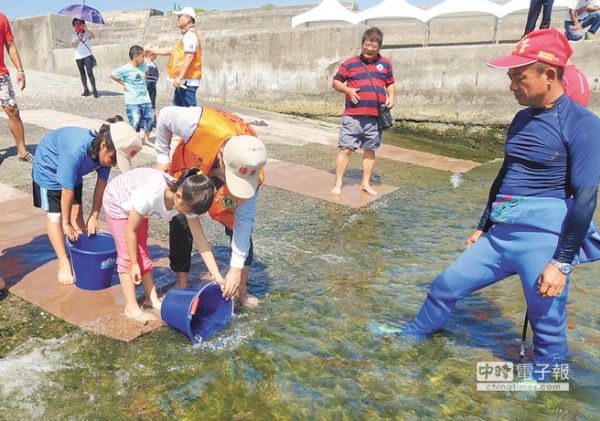 綠島放流3萬魚苗 深耕生態保育