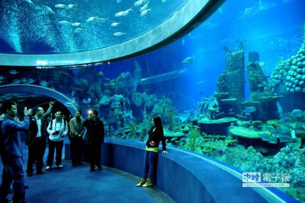 沒有讚岐烏龍麵 水族館可能蓋不成