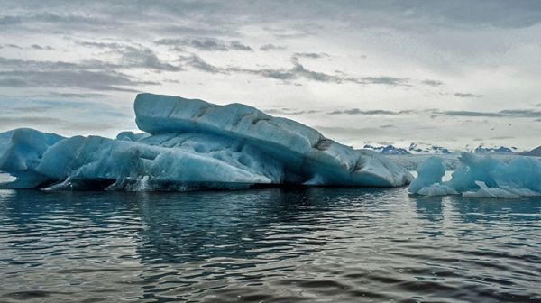 南極水溫升1度 生物倍速增長