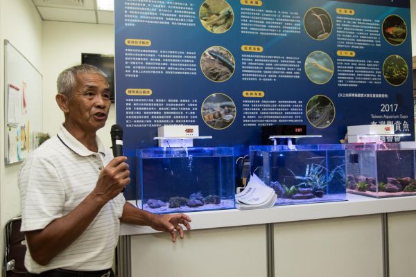 國內觀賞魚研發動能強，觀賞魚博覽會將重返南港展覽館