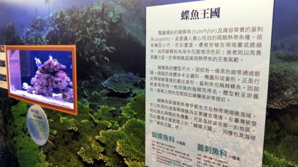 海科館台灣魚類特展 附近六里民及市民都有優惠